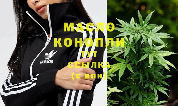 стаф Болотное