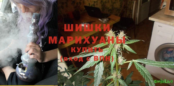 твердый Абаза