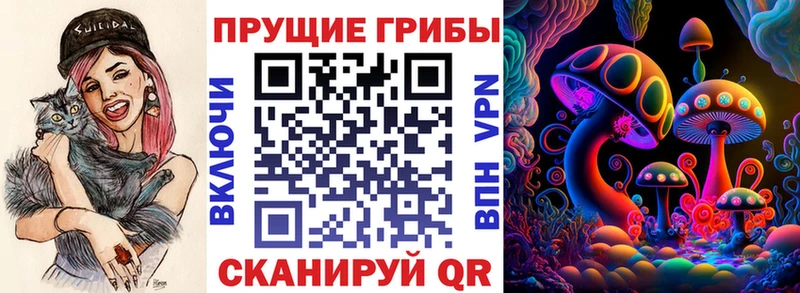Галлюциногенные грибы Psilocybe  Нестеровская 